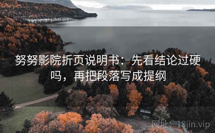 努努影院折页说明书：先看结论过硬吗，再把段落写成提纲  第2张
